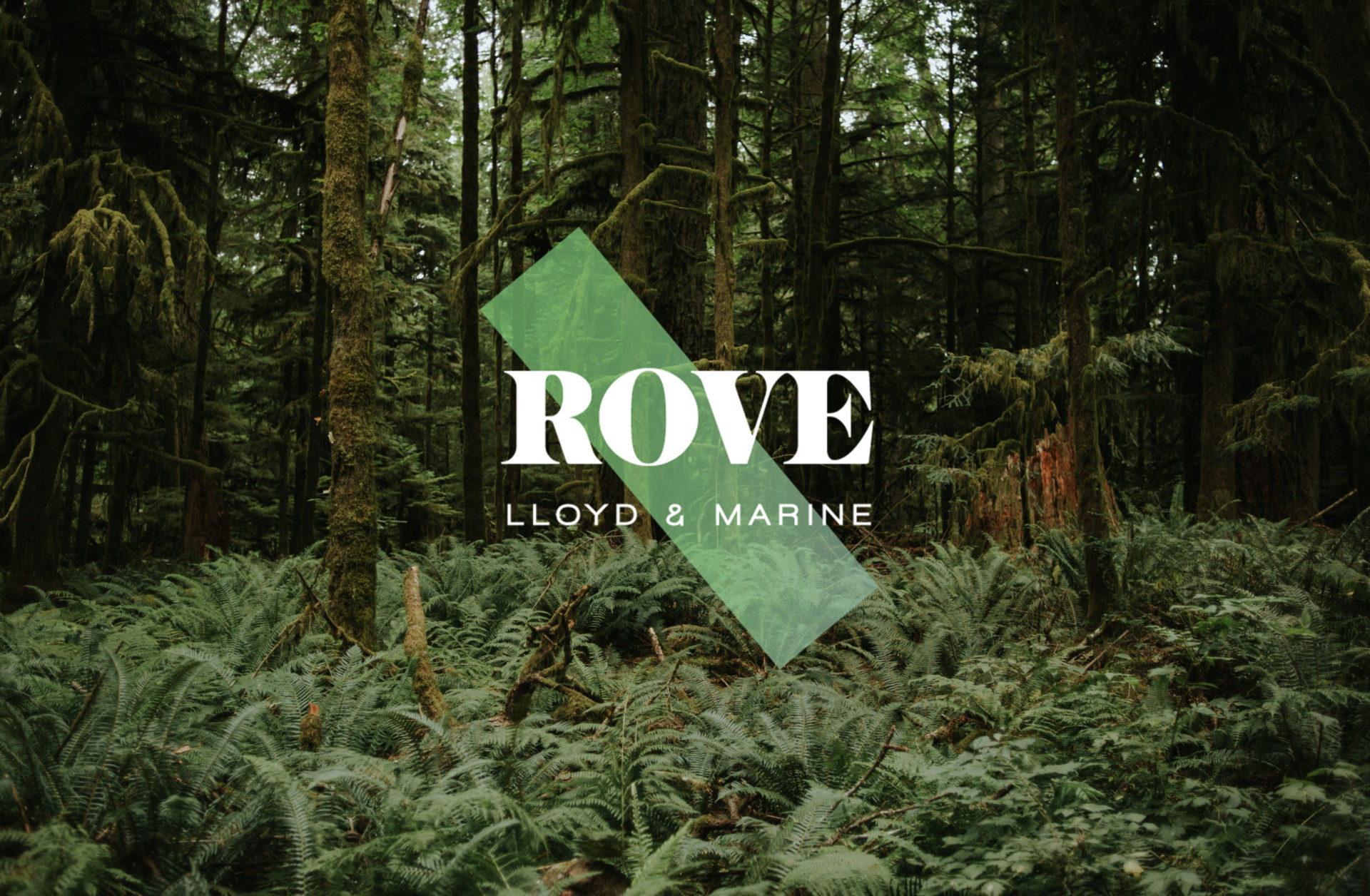 Rove North Vancouver Logo on picture of forest