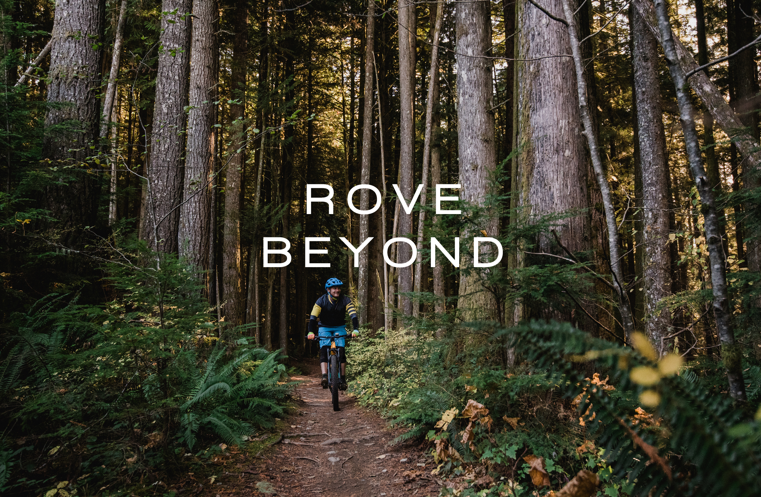 Rove Beyond Image; Biker in Forest